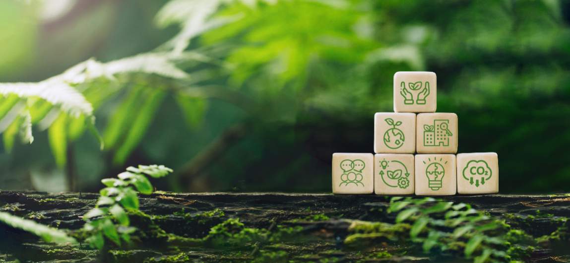 Sustainability Strategy